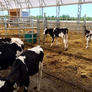 fabric-building-for-agricultural