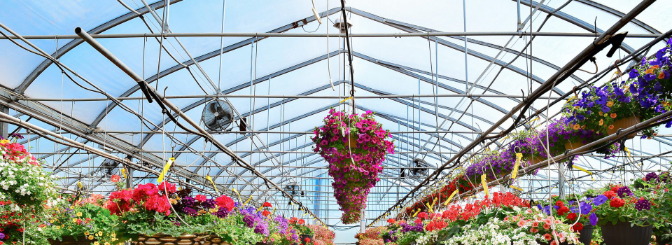 RESIZED-Ovaltech-commercial-fleurs-fin-02_VR-crop-cover
