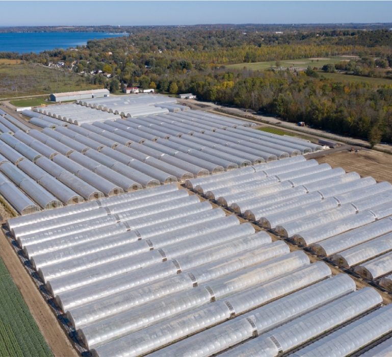 Good Year Farm - Ontario