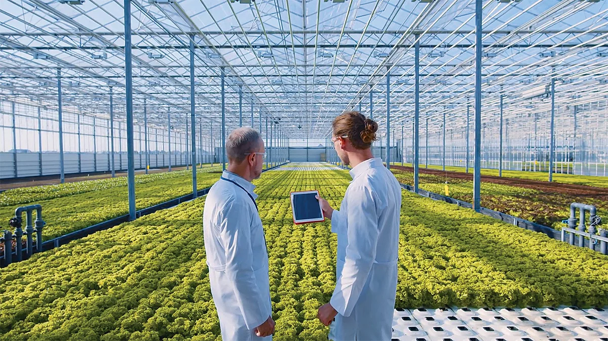 Section-modèle-verre-Vermax-choix 2